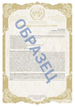 Образец Приложение к СТО 01.064.00220722.2-2020 Дзержинск Сертификат СТО 01.064.00220722.2-2020 